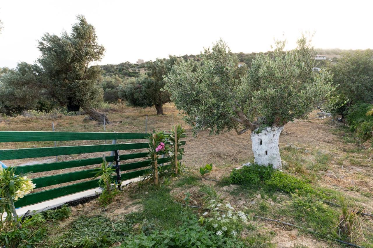הוילה טריופטרה Galini House מראה חיצוני תמונה